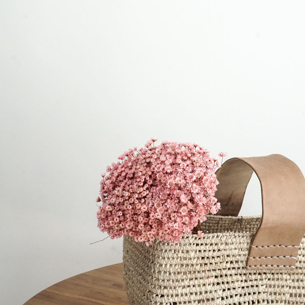 Glixia in Vielfalt: Farbenprächtige Trockenblumen für ein kreative Dekoration 