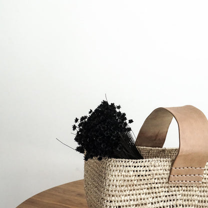 Glixia in Vielfalt: Farbenprächtige Trockenblumen für ein kreative Dekoration 