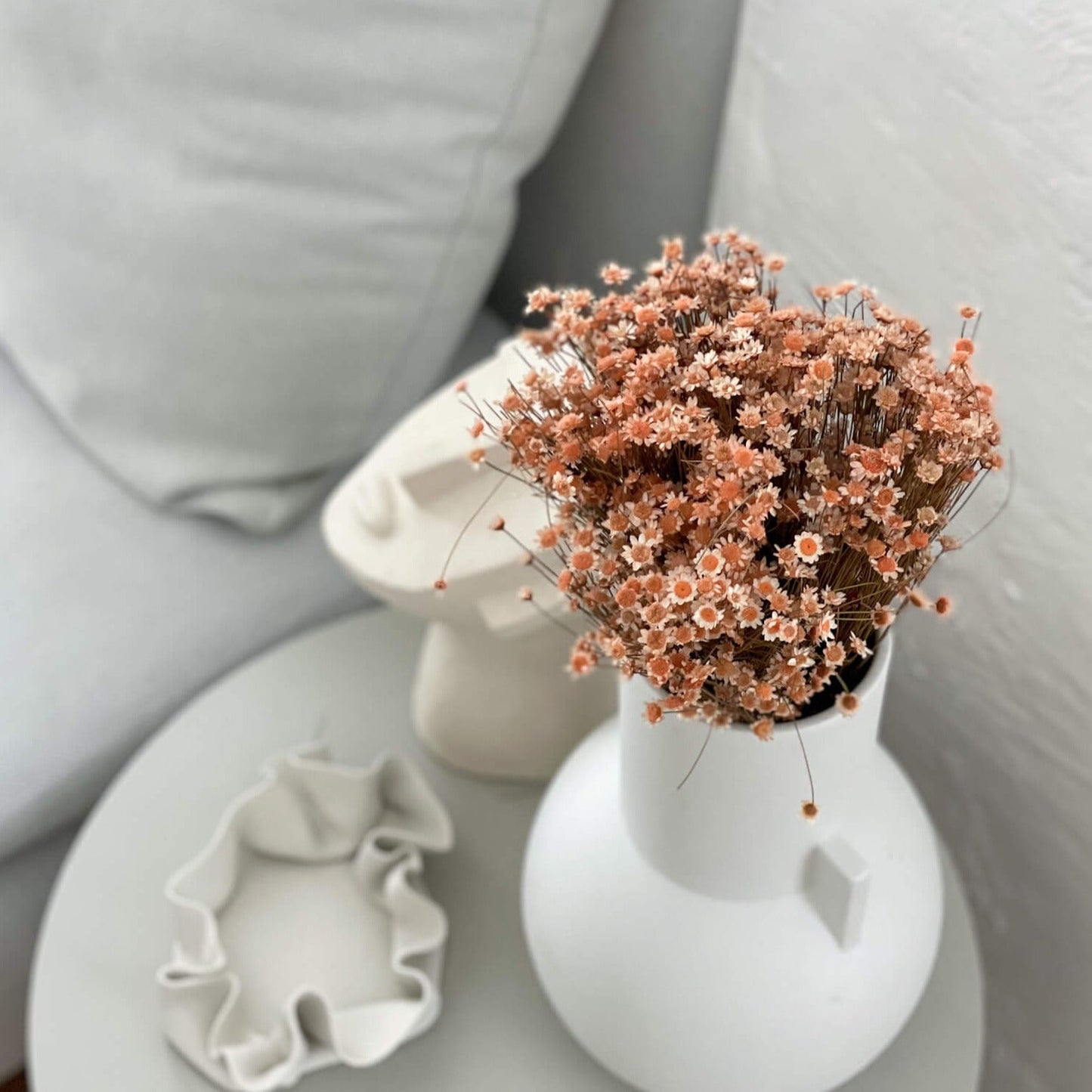 Glixia in Vielfalt: Farbenprächtige Trockenblumen für ein kreative Dekoration 