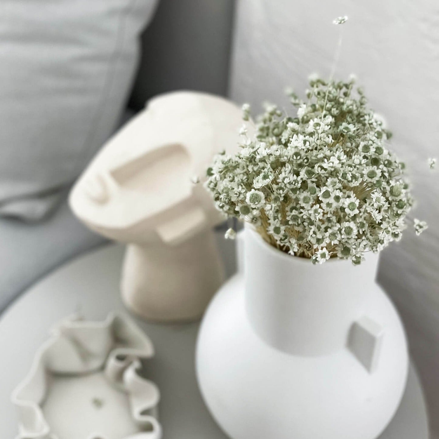 Glixia in Vielfalt: Farbenprächtige Trockenblumen für ein kreative Dekoration 