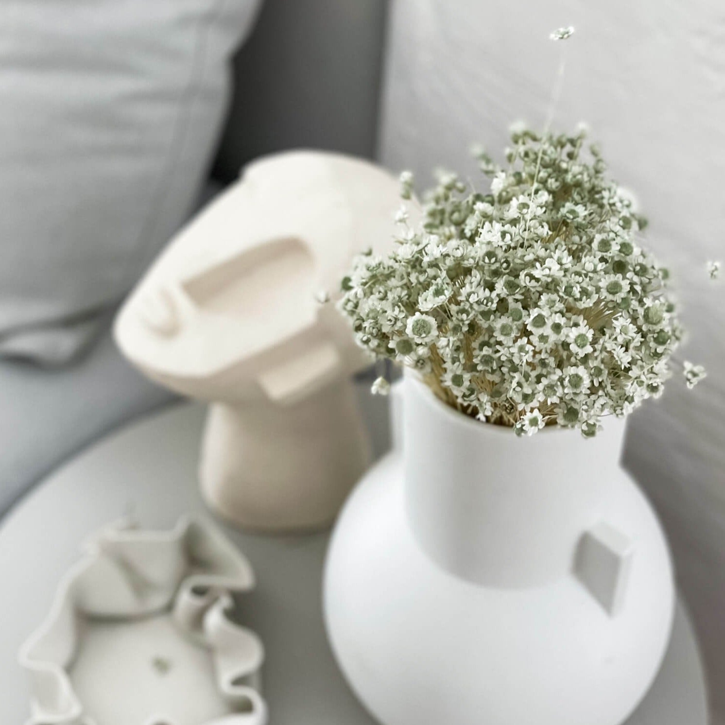 Glixia in Vielfalt: Farbenprächtige Trockenblumen für ein kreative Dekoration 