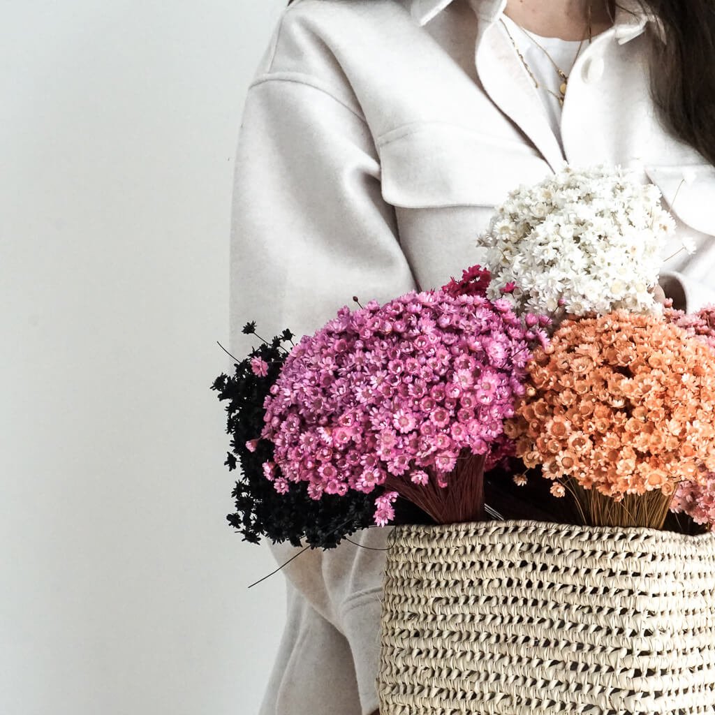 Glixia in Vielfalt: Farbenprächtige Trockenblumen für ein kreative Dekoration 