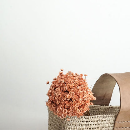 Glixia in Vielfalt: Farbenprächtige Trockenblumen für ein kreative Dekoration 