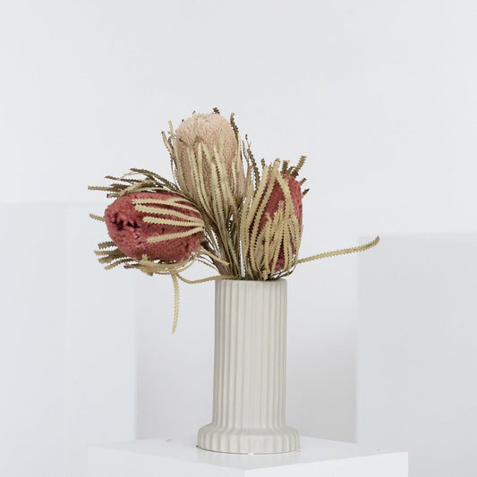 Trockenblume Banksia 