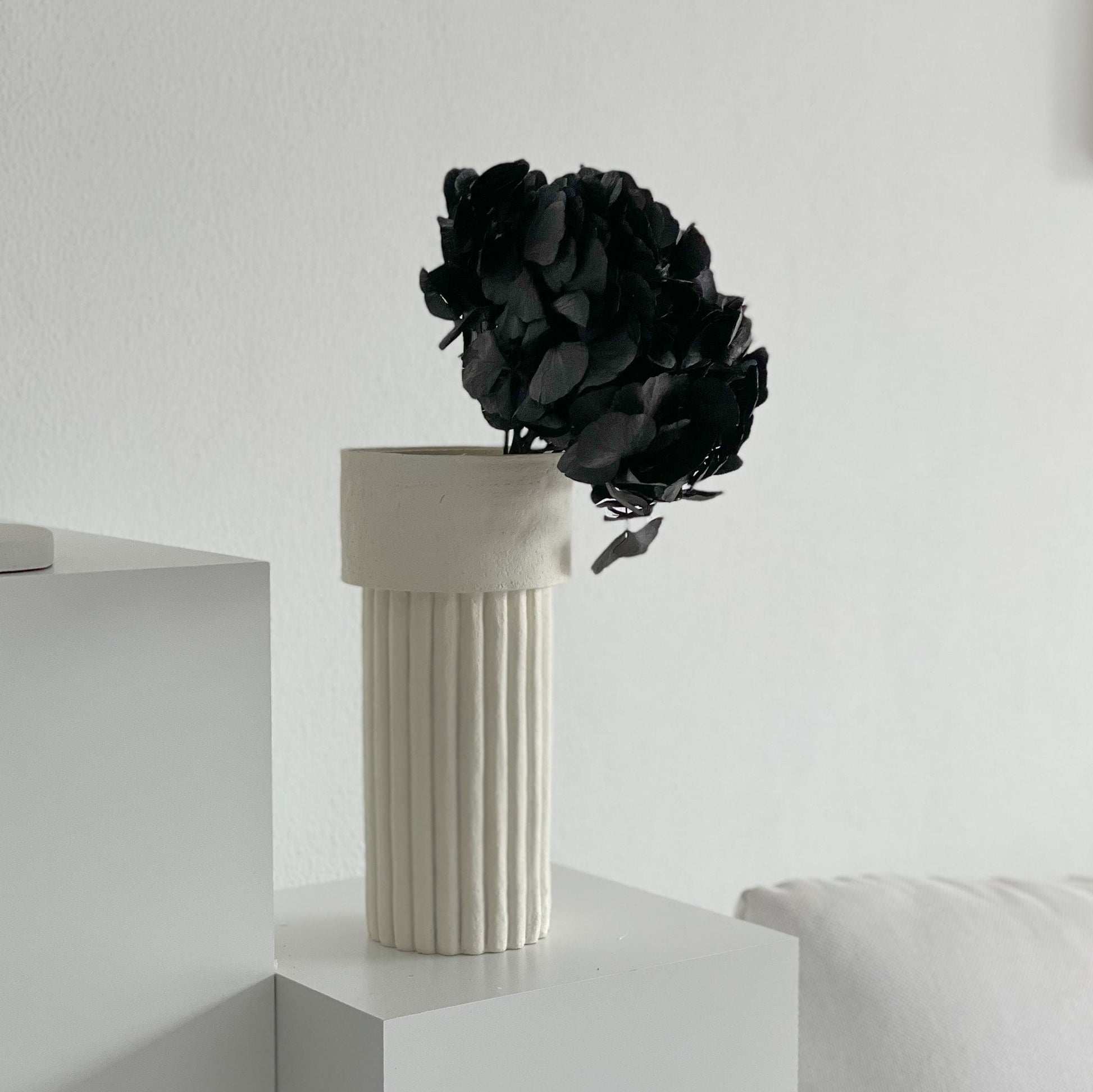 Hortensie: Zeitlose Schönheit, konservierte Hortensien als perfekte Dekoration 