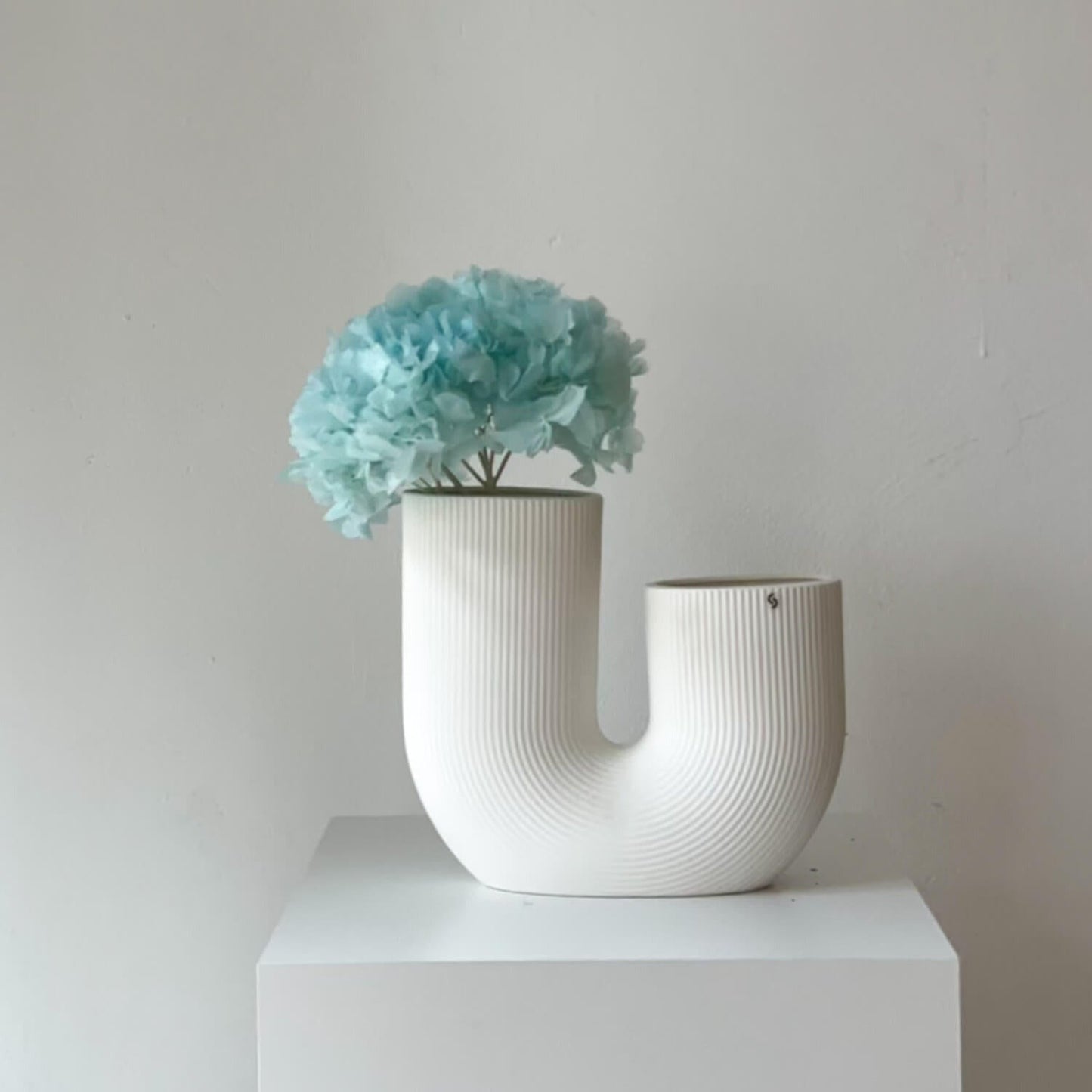 Hortensie: Zeitlose Schönheit, konservierte Hortensien als perfekte Dekoration 