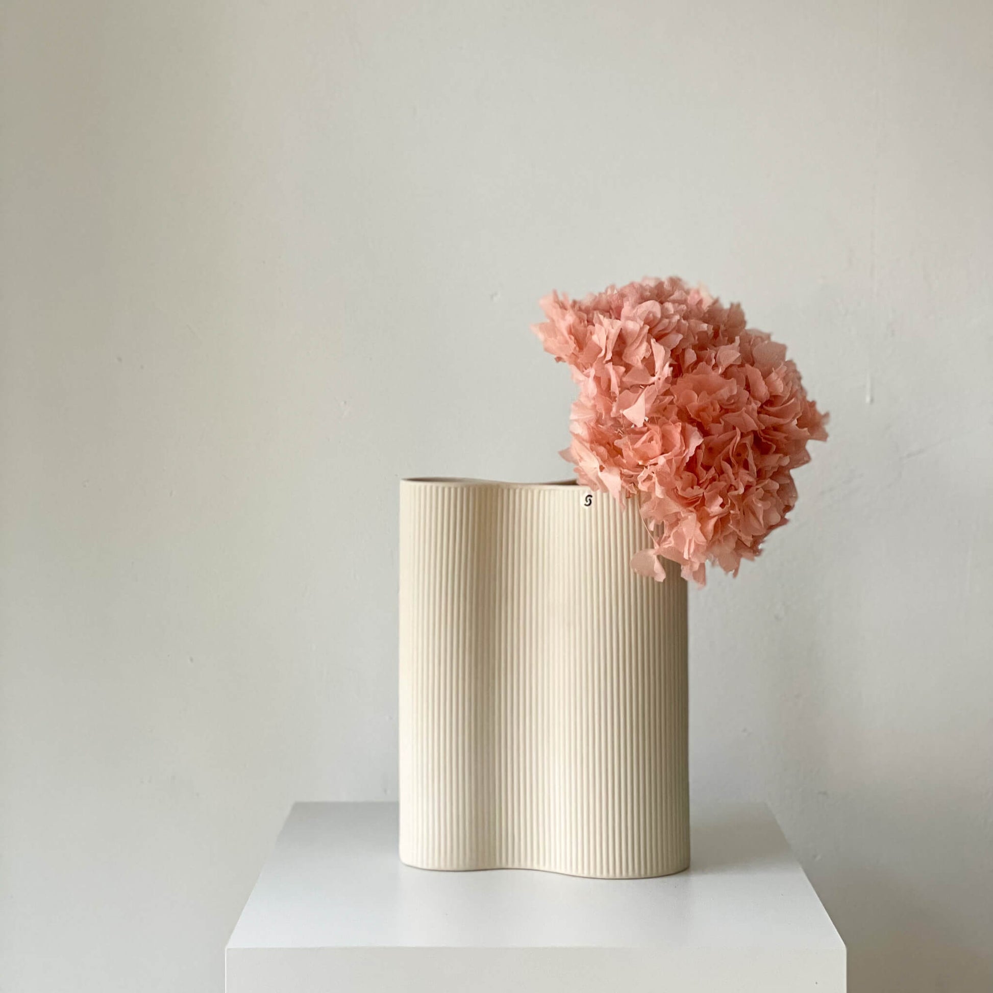 Hortensie: Zeitlose Schönheit, konservierte Hortensien als perfekte Dekoration 