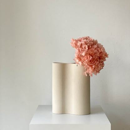 Hortensie: Zeitlose Schönheit, konservierte Hortensien als perfekte Dekoration 