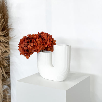 Hortensie: Zeitlose Schönheit, konservierte Hortensien als perfekte Dekoration 