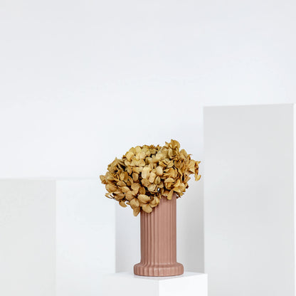 Hortensie: Zeitlose Schönheit, konservierte Hortensien als perfekte Dekoration 