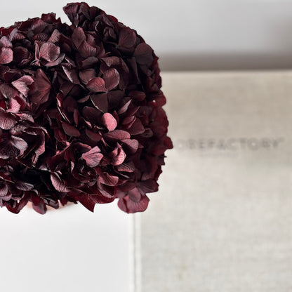 Hortensie: Zeitlose Schönheit, konservierte Hortensien als perfekte Dekoration 