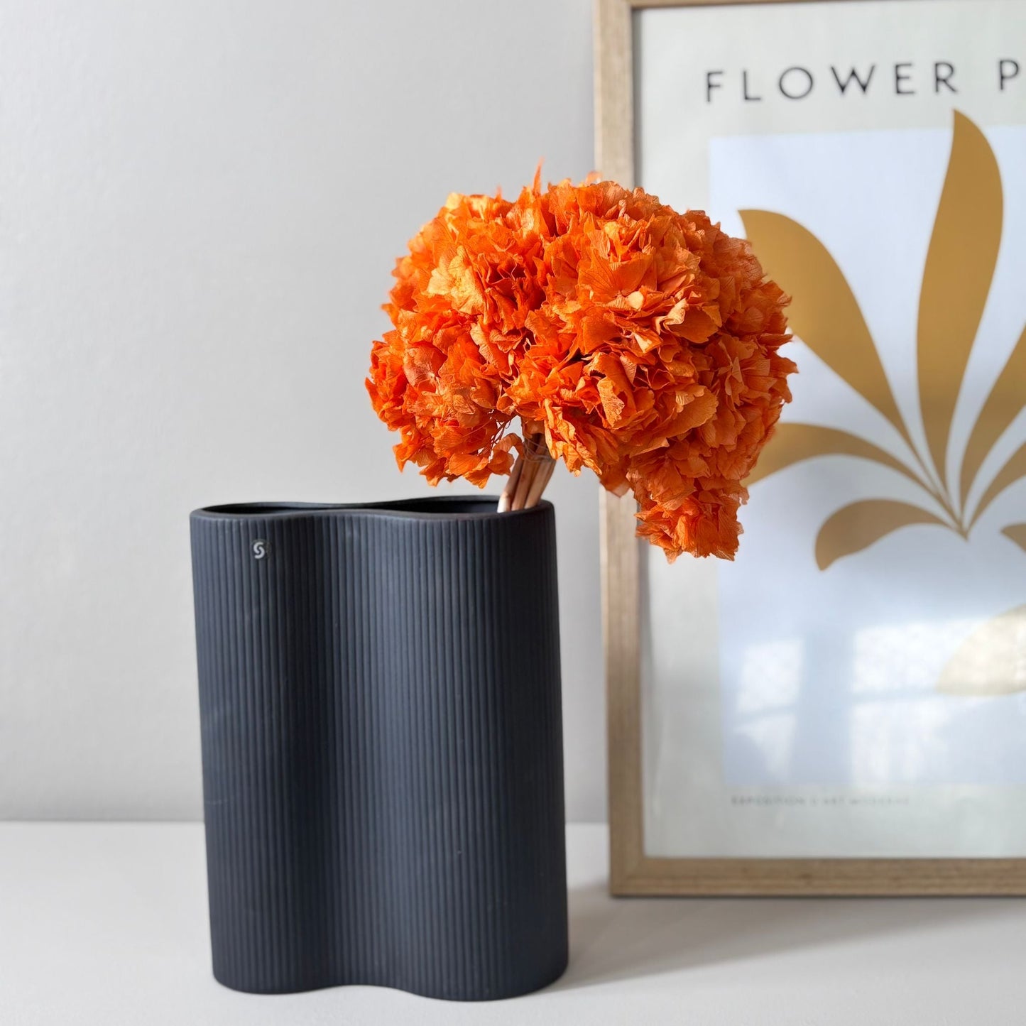 Hortensie: Zeitlose Schönheit, konservierte Hortensien als perfekte Dekoration 