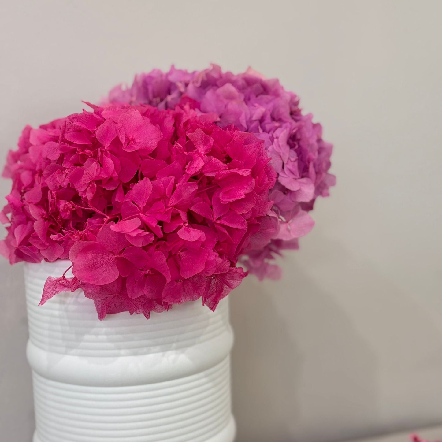 Hortensie: Zeitlose Schönheit, konservierte Hortensien als perfekte Dekoration 