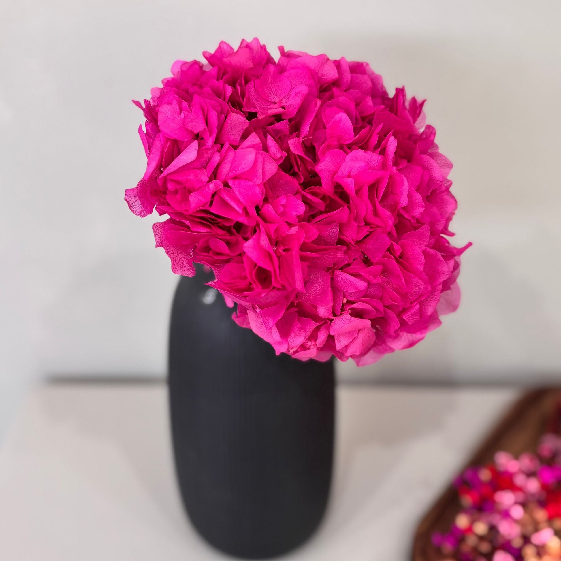 Hortensie: Zeitlose Schönheit, konservierte Hortensien als perfekte Dekoration 