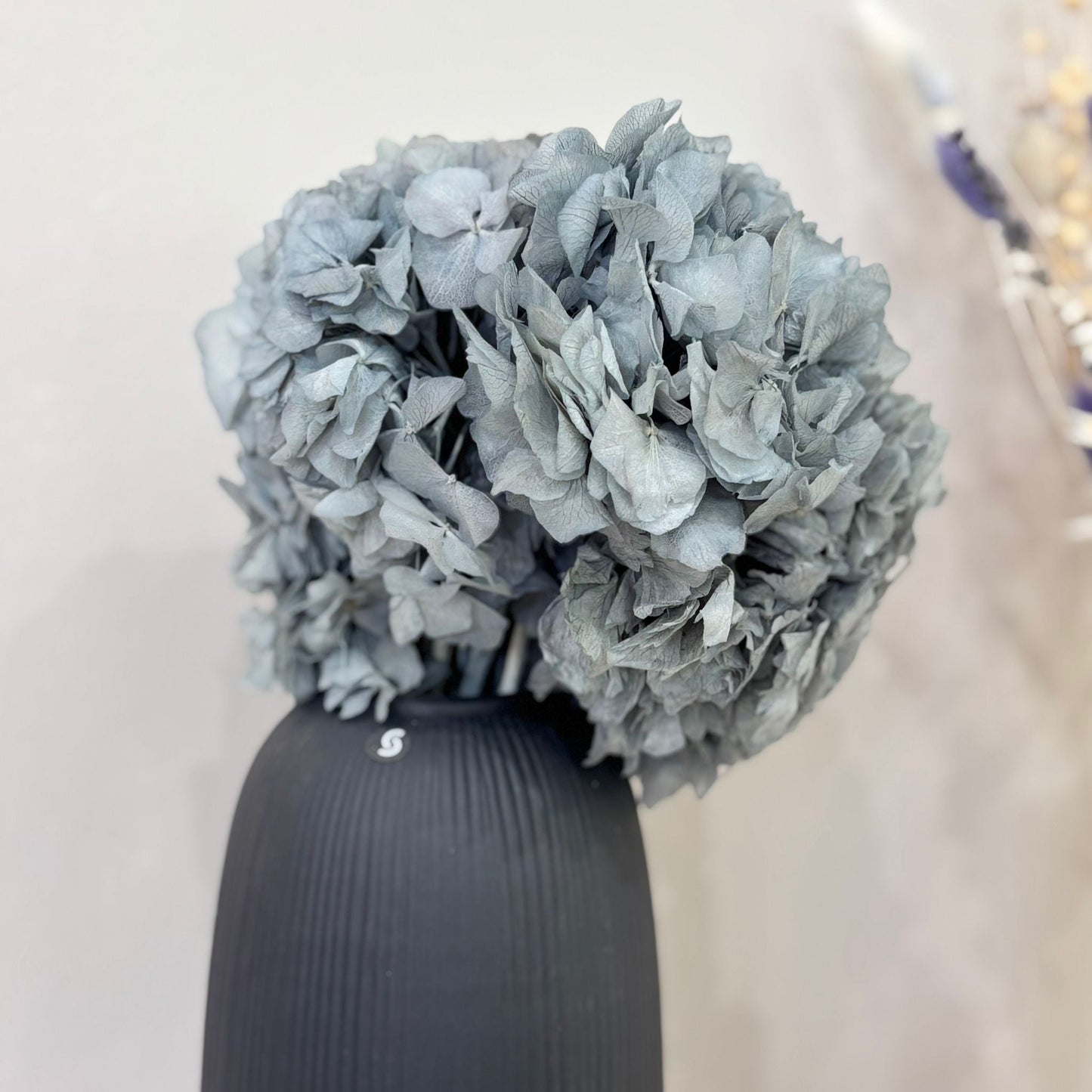 Hortensie: Zeitlose Schönheit, konservierte Hortensien als perfekte Dekoration 