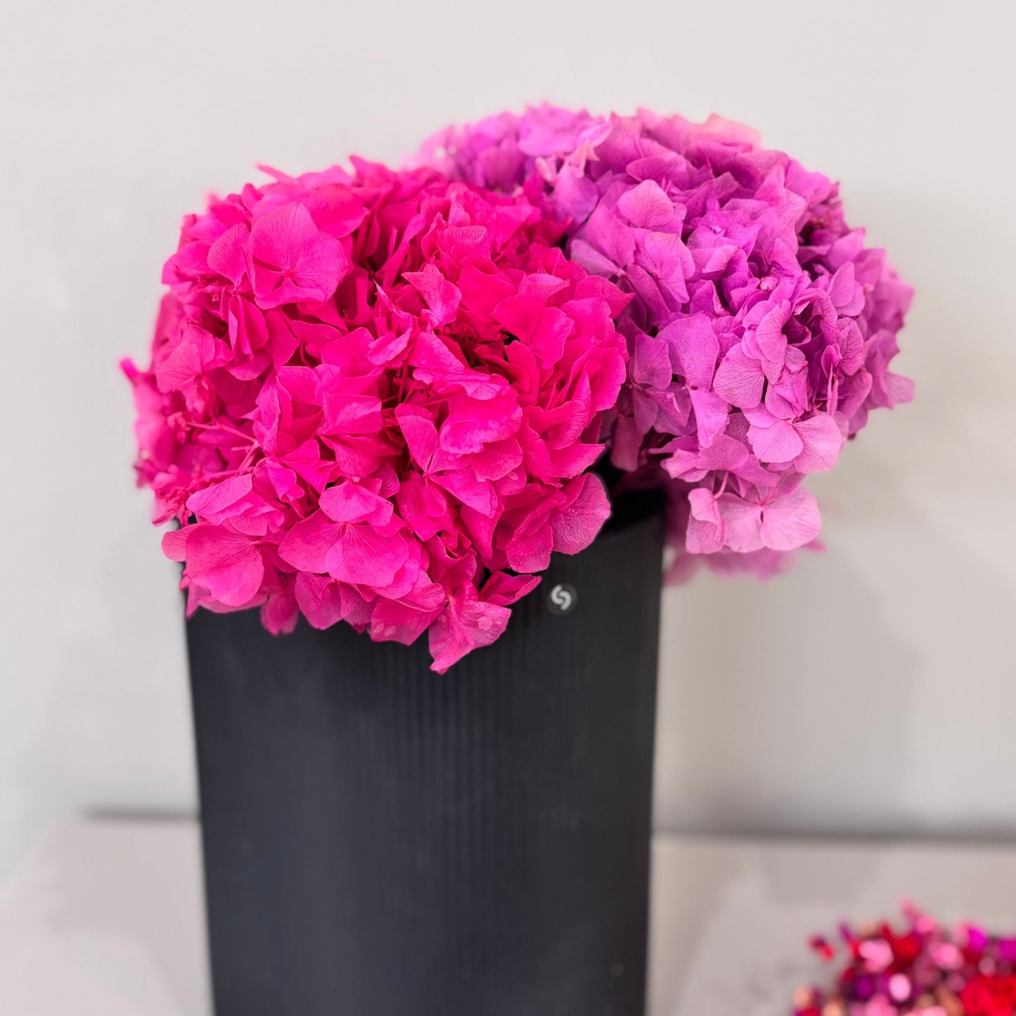 Hortensie: Zeitlose Schönheit, konservierte Hortensien als perfekte Dekoration 