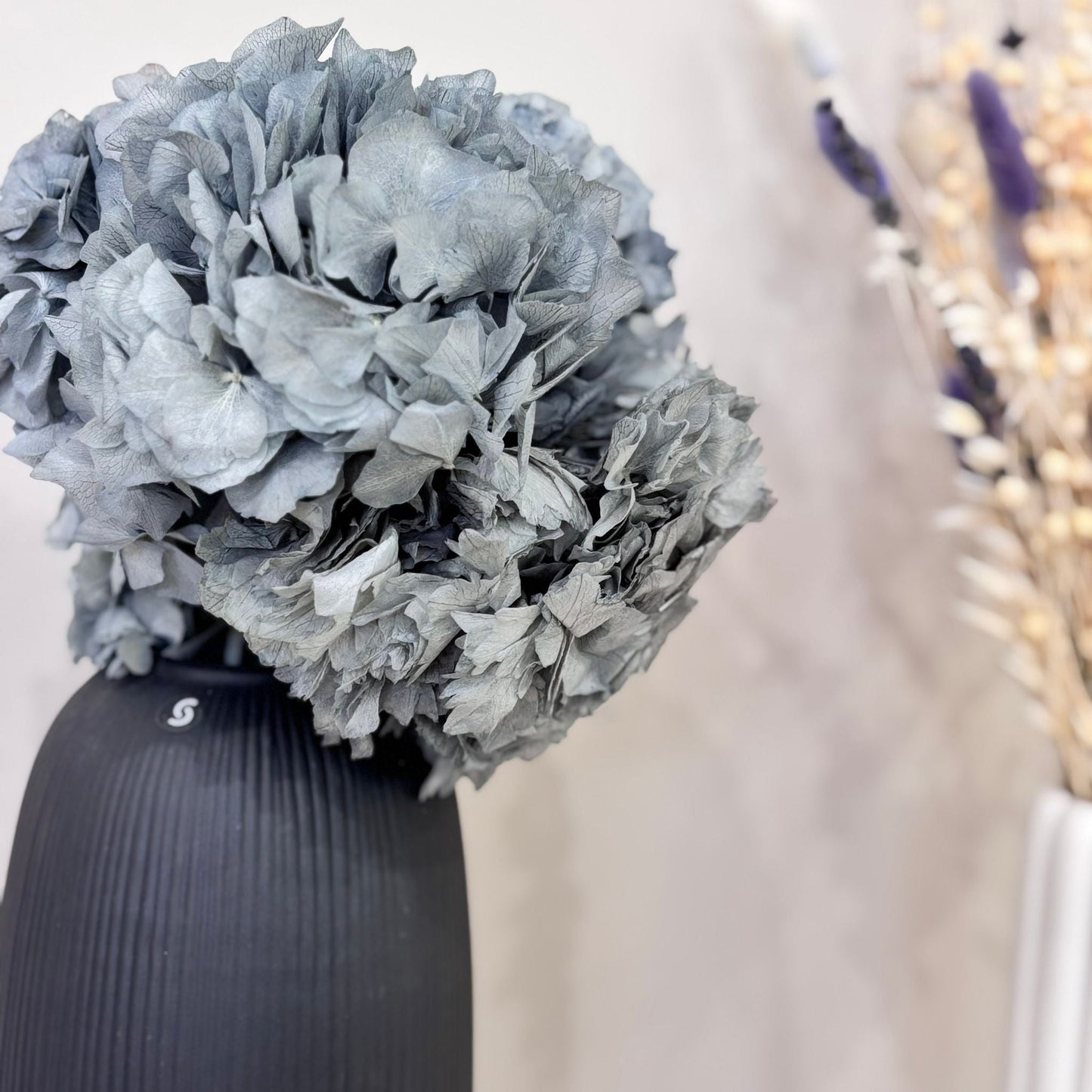 Hortensie: Zeitlose Schönheit, konservierte Hortensien als perfekte Dekoration 