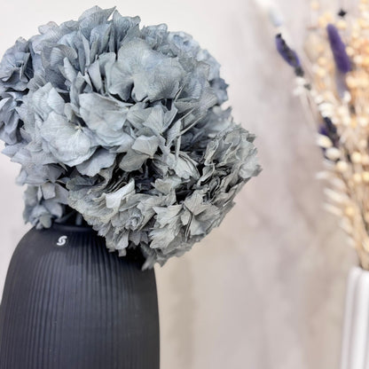 Hortensie: Zeitlose Schönheit, konservierte Hortensien als perfekte Dekoration 