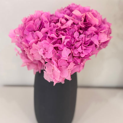 Hortensie: Zeitlose Schönheit, konservierte Hortensien als perfekte Dekoration 