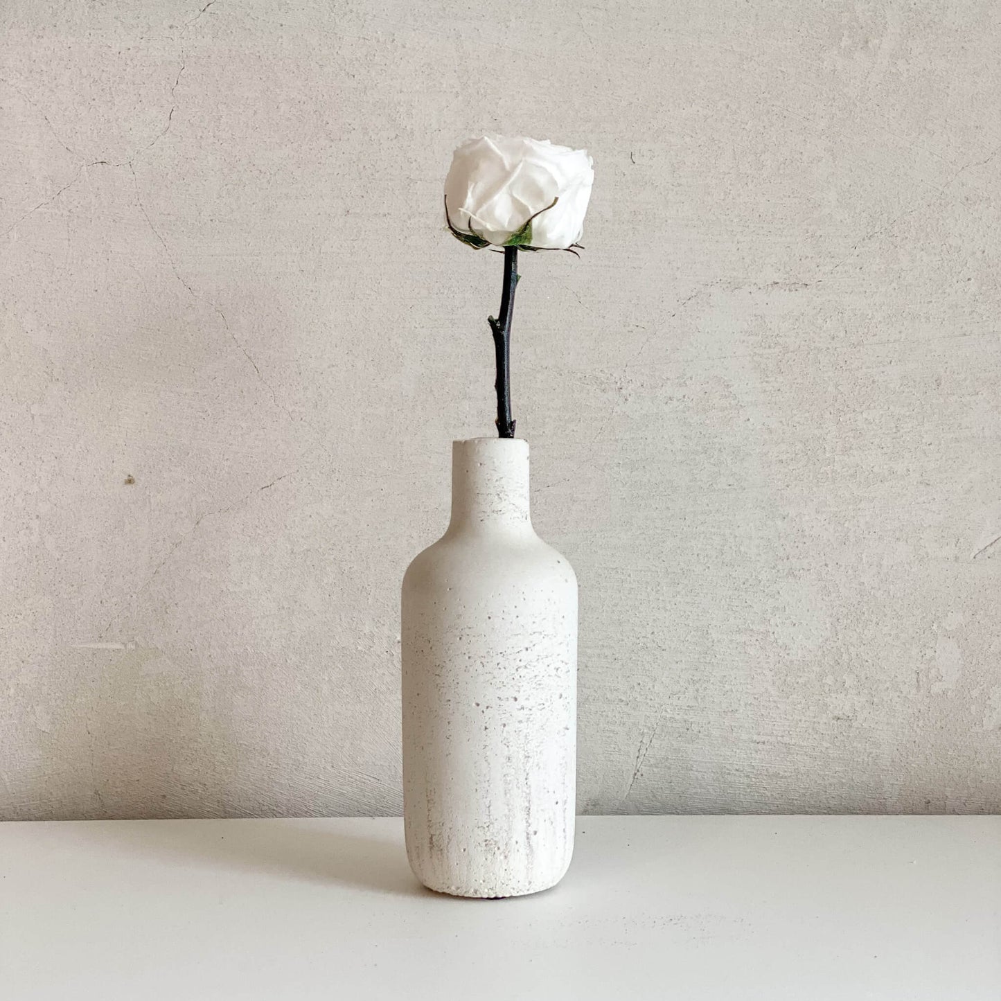 Konservierte/gefriergetrocknete, englische Rosen: Zeitlose Eleganz für die Ewigkeit 