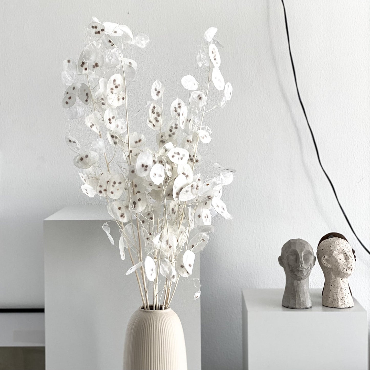 Lunaria: zartes Schimmern für Dein individuelles Trockenblumen-Arrangement 