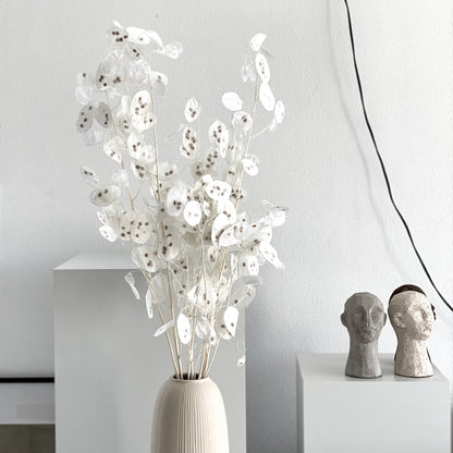Lunaria: zartes Schimmern für Dein individuelles Trockenblumen-Arrangement 