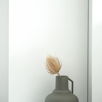 Getrocknete Distel - Cardi 