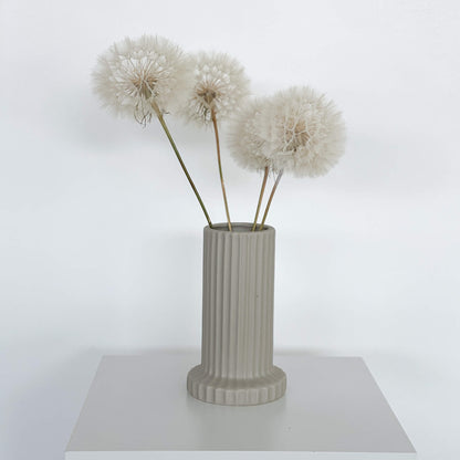 Pusteblume getrocknet einzeln 