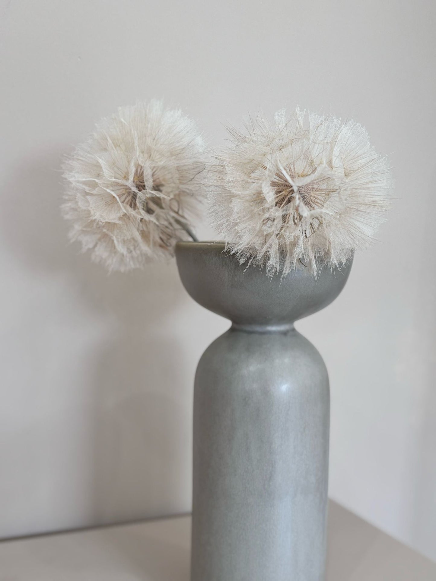 Pusteblume getrocknet einzeln 