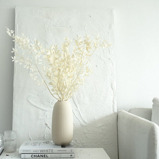 Ruskus / Mäusedorne konserviert 