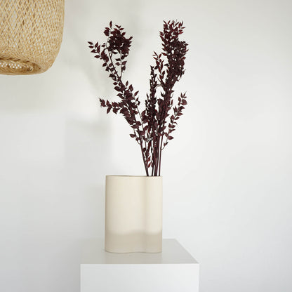 Ruskus / Mäusedorne konserviert 