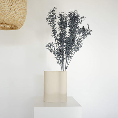 Ruskus / Mäusedorne konserviert 