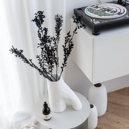 Ruskus / Mäusedorne konserviert 