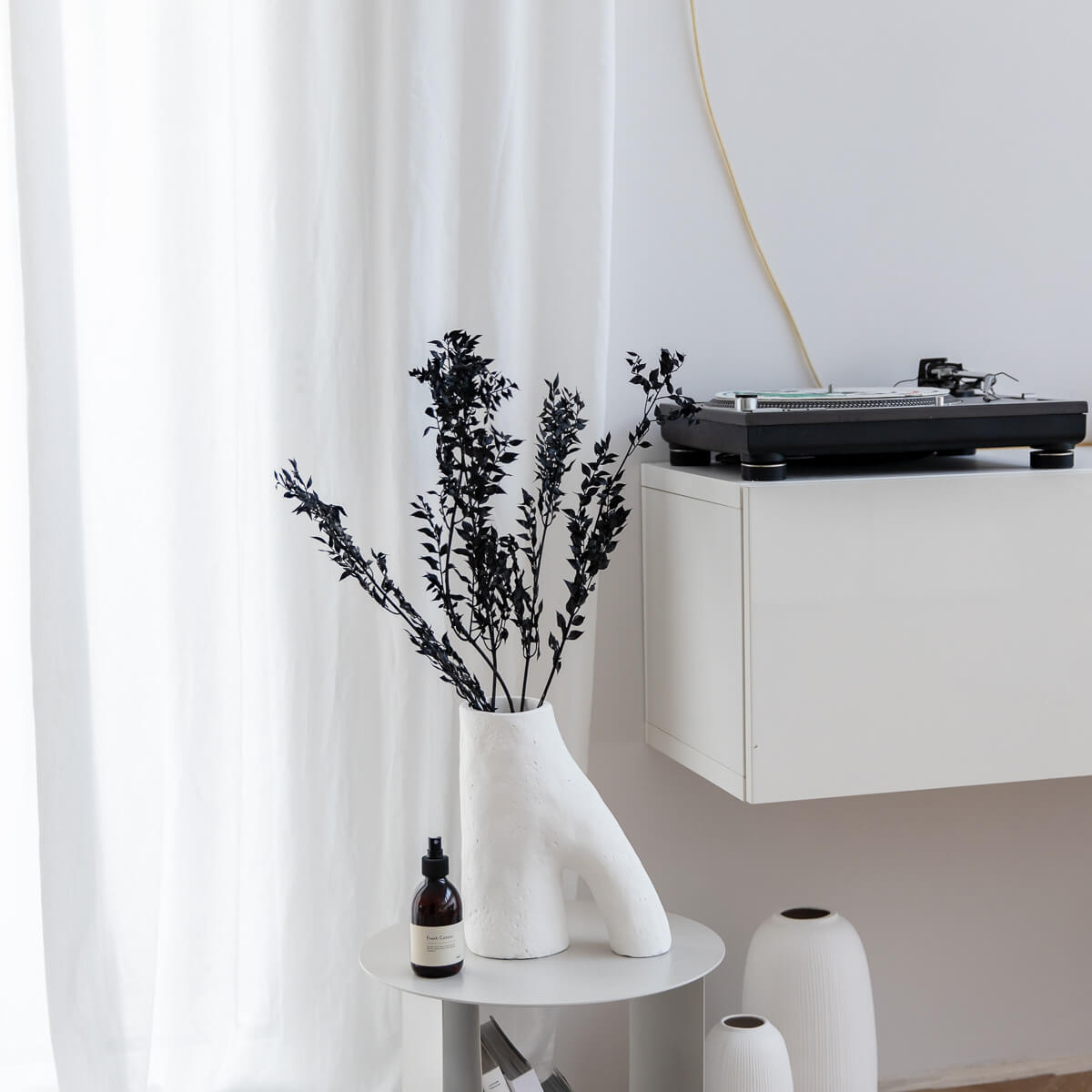 Ruskus / Mäusedorne konserviert 