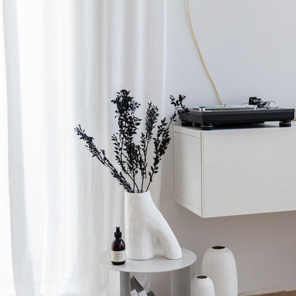 Ruskus / Mäusedorne konserviert 