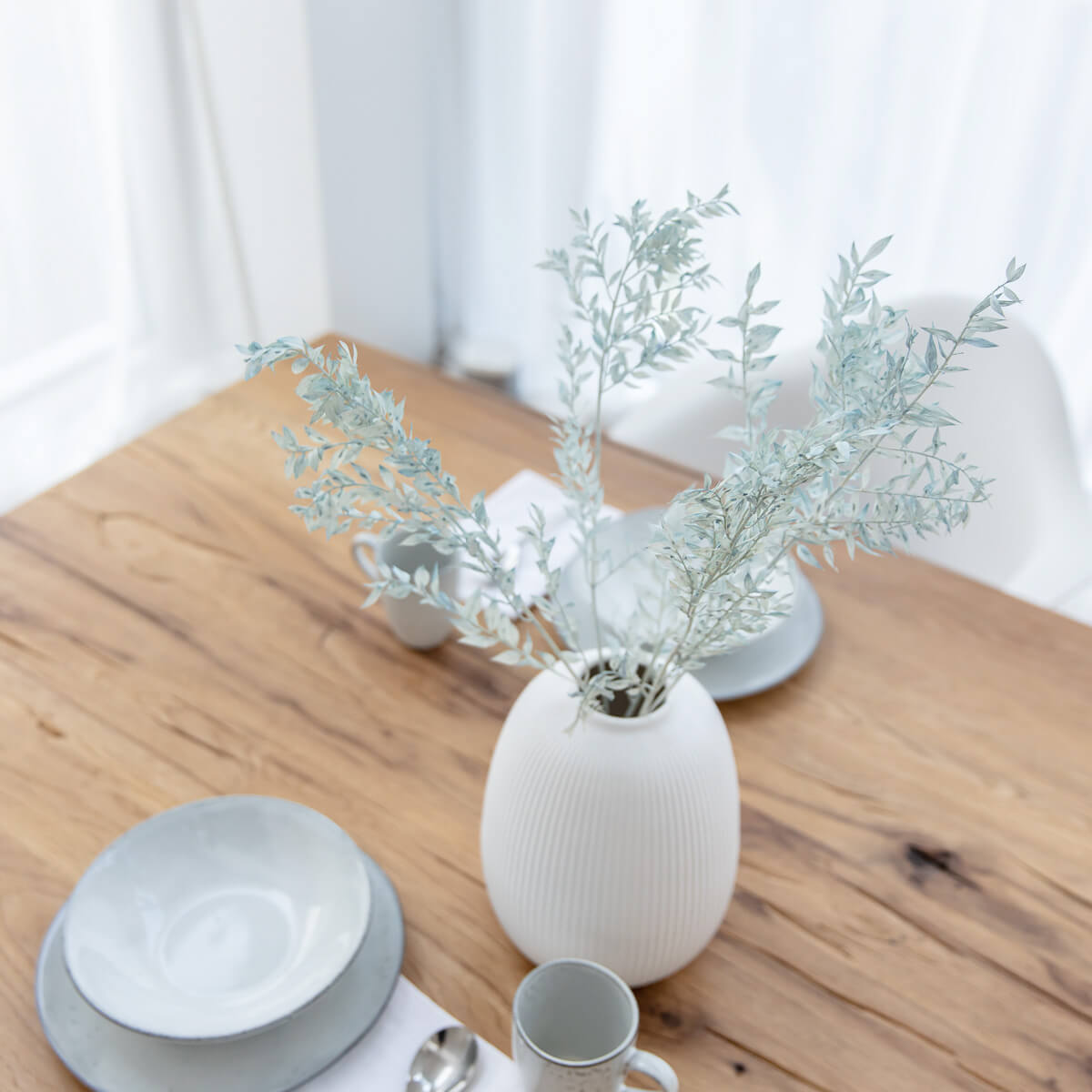 Ruskus / Mäusedorne konserviert 