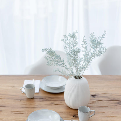 Ruskus / Mäusedorne konserviert 