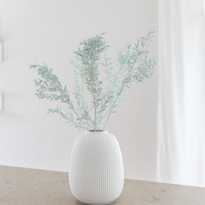 Ruskus / Mäusedorne konserviert 