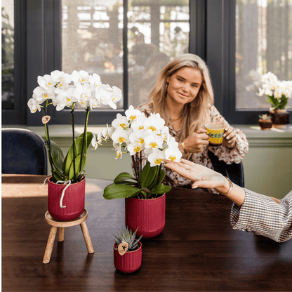 Flare Dekotopf Red – Stilvoller Retro-Blumentopf Ø9cm – Rotes Rillenmuster – Bold Seventies Design 