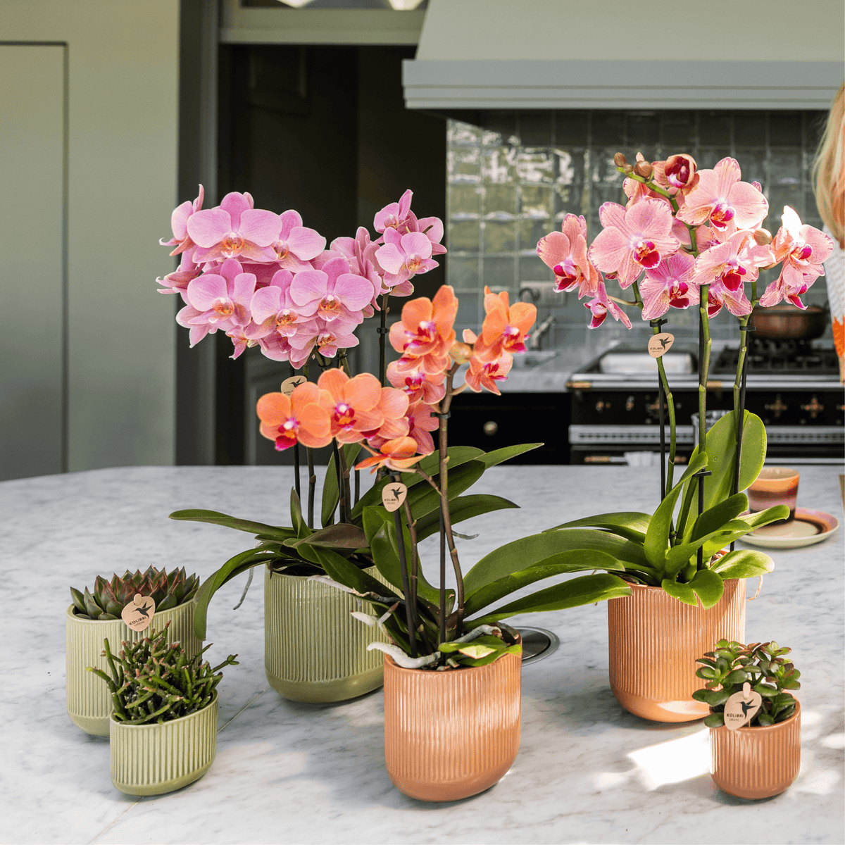 Flare Dekotopf Green – Ø6cm – Kleiner Retro-Blumentopf mit Rillenstruktur – Bold Seventies Design – Für Mini-Zimmerpflanzen & stilvolle Akzente im Innenbereich 