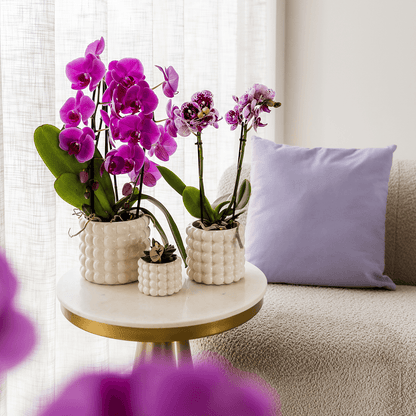 Kolibri Home | Poppy Ziertopf - White - Ø12cm 