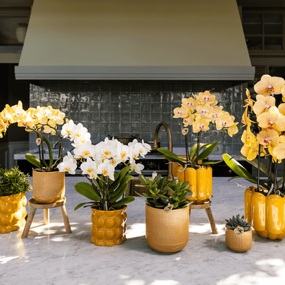 Kolibri Home | Retro Shine Übertopf - Yellow - Ø9cm 