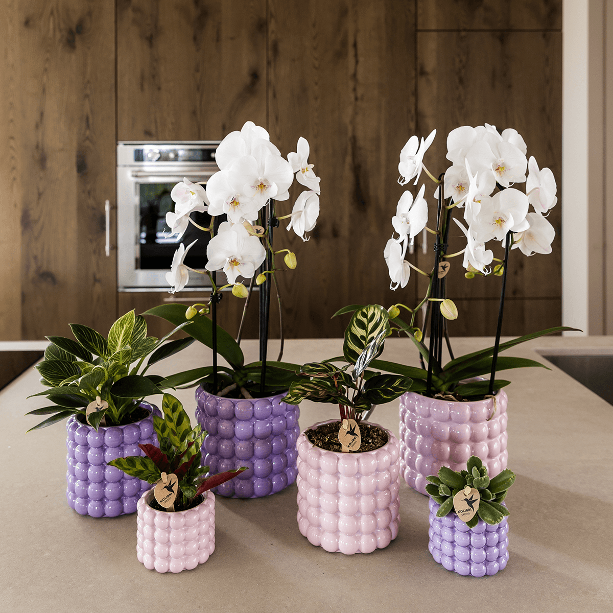 Kolibri Home | Poppy Ziertopf - Pink - Ø12cm 