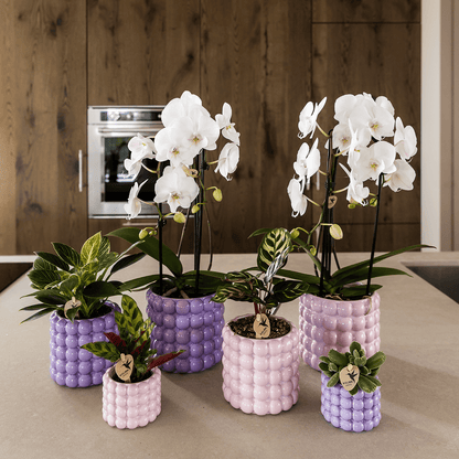 Kolibri Home | Poppy Ziertopf - Pink - Ø12cm 