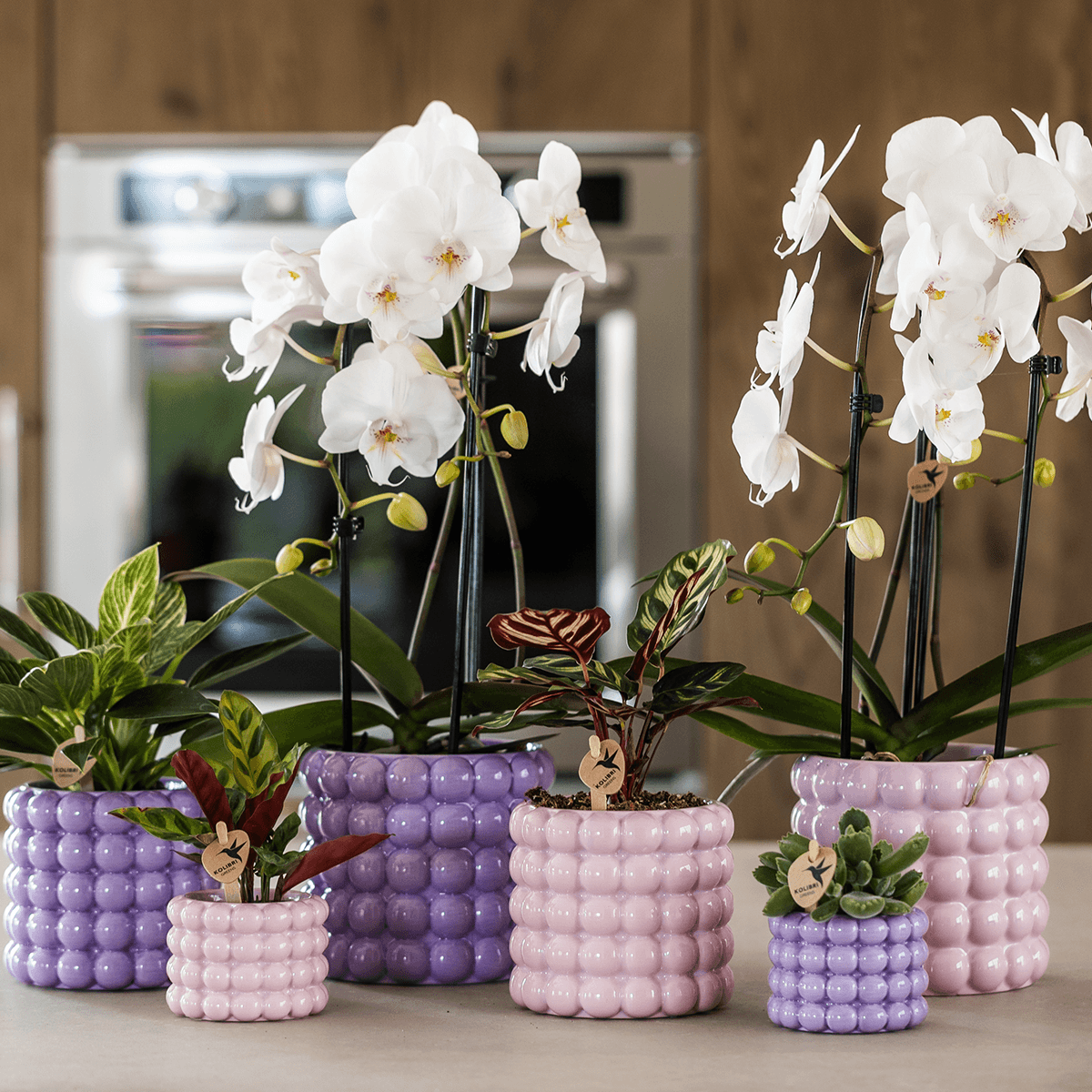 Kolibri Home | Poppy Ziertopf - Pink - Ø12cm 