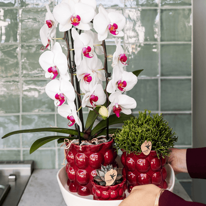 Kolibri Home | Cotton Shine Übertopf - Red - Ø12cm 