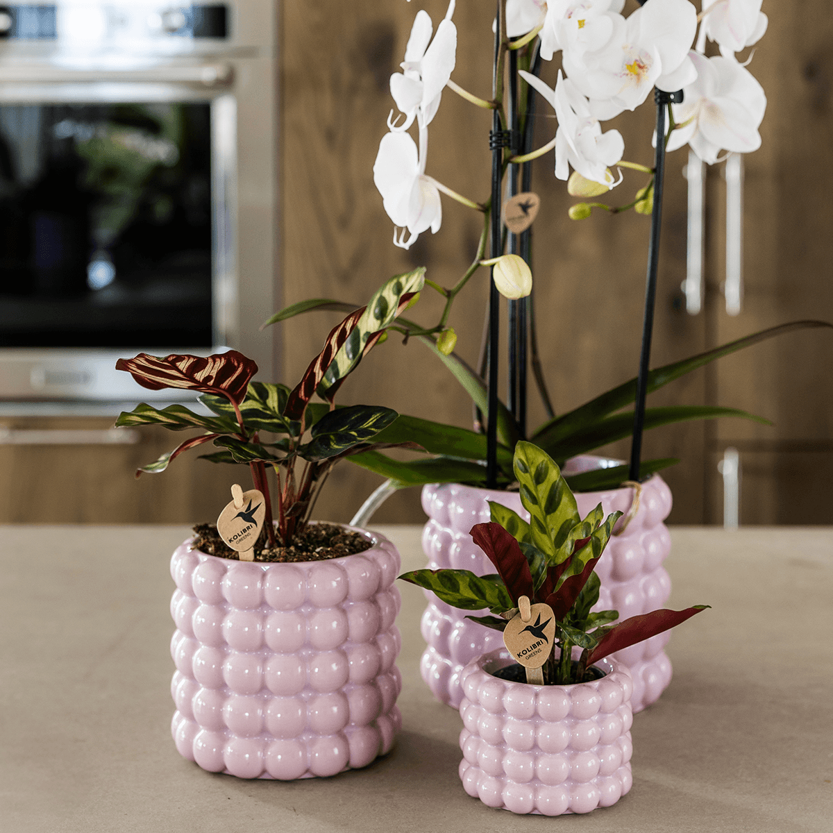 Kolibri Home | Poppy Ziertopf - Pink - Ø12cm 