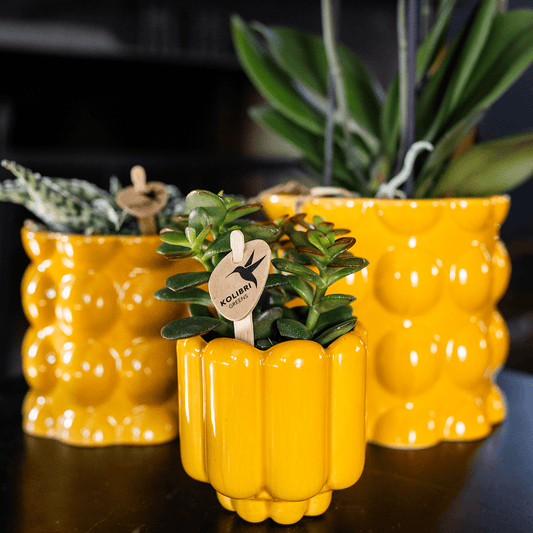 Kolibri Home | Retro Shine Übertopf - Yellow - Ø6cm 