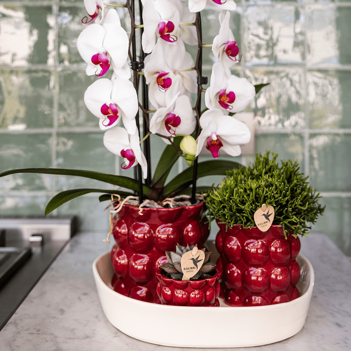 Kolibri Home | Cotton Shine Übertopf - Red - Ø12cm 