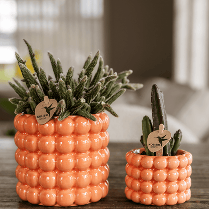 Kolibri Home | Poppy Ziertopf - Orange - Ø9cm 